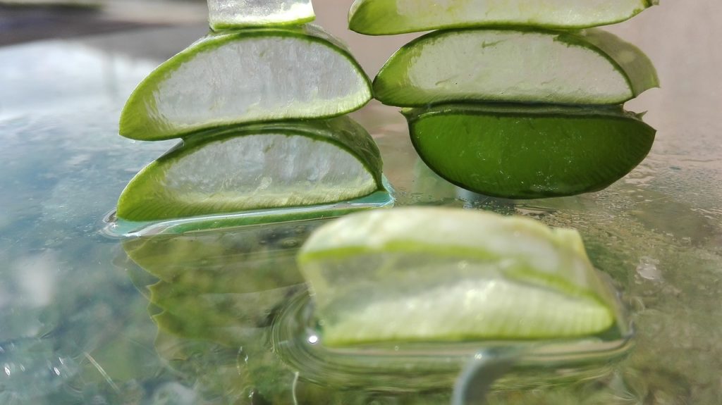 Aloe Vera Vevey