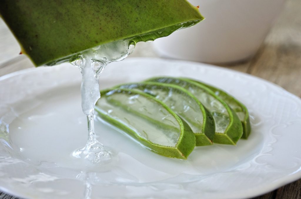 Aloe Vera Fribourg