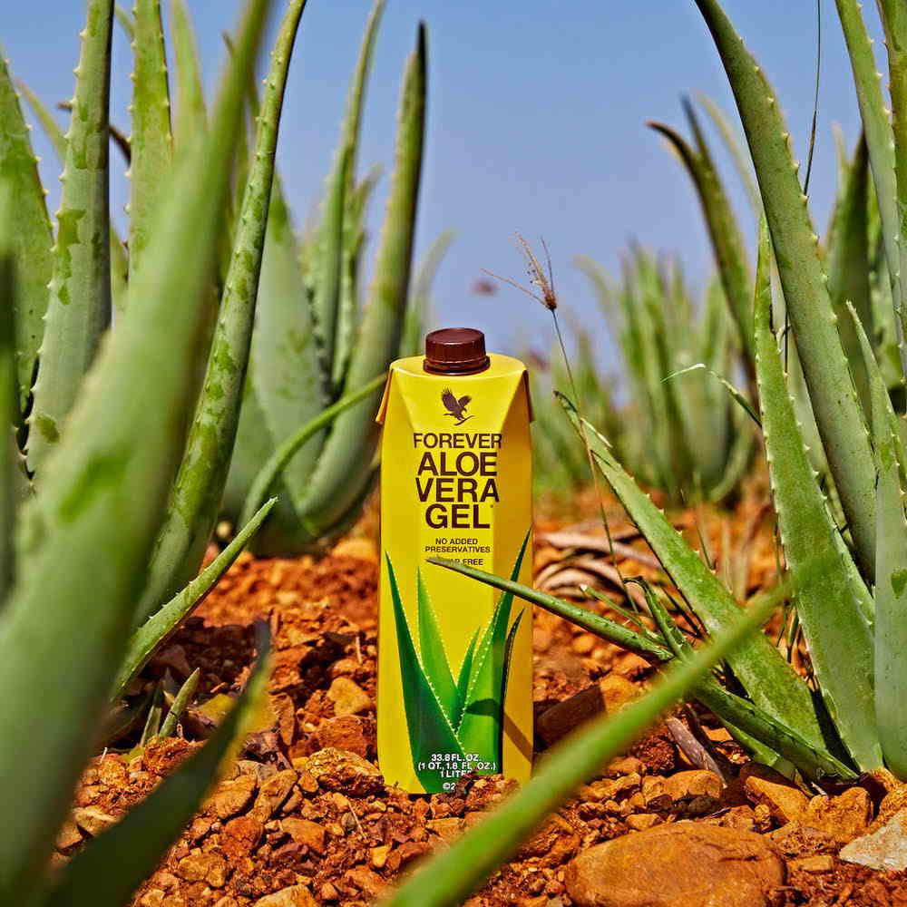 Aloe vera pour les pieds